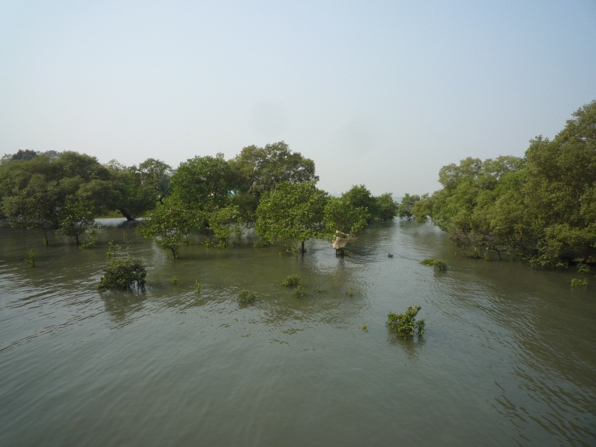 Elephanta caves06